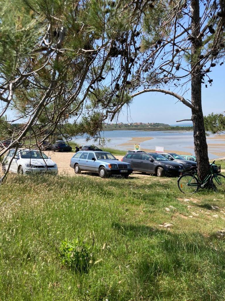 Beach Apartments Privlaka  Extérieur photo